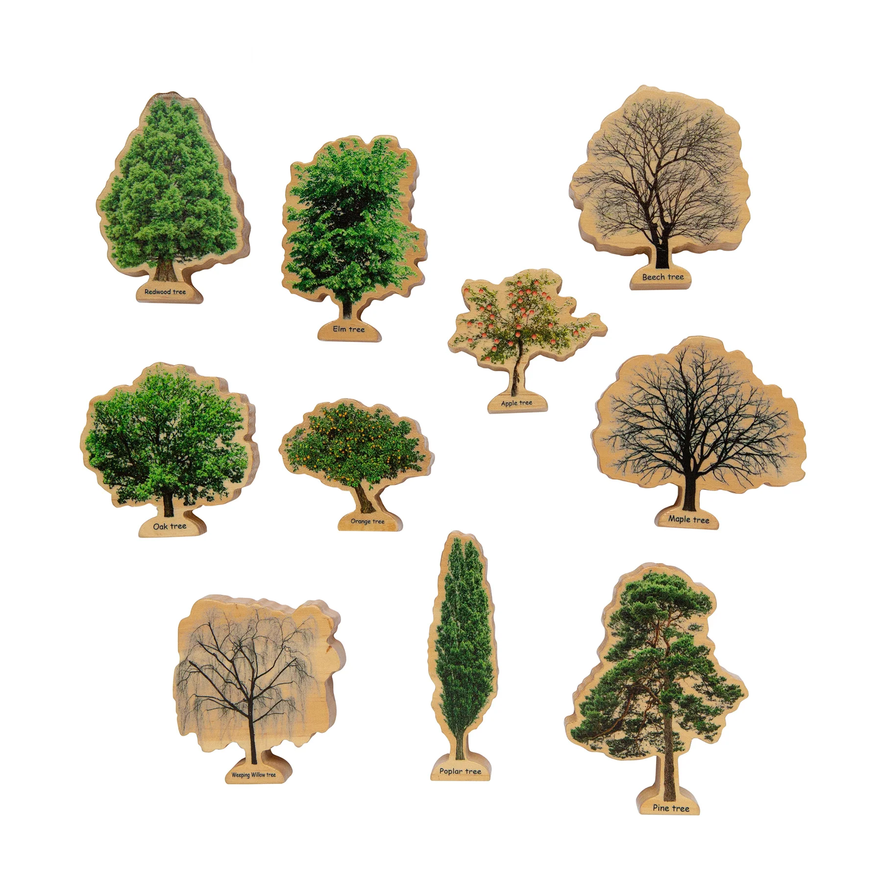 The Freckled Frog Seasons Wooden Trees - Educational Block Set - Image 3